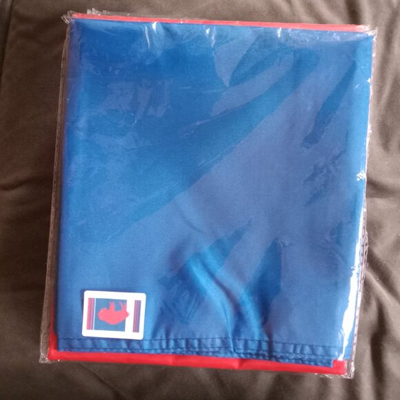 NEW Buffalo Bills Retro Bison Logo NFL 3X5 Feet Flag Banner Wall Decor or Pole - Picture 2 of 5